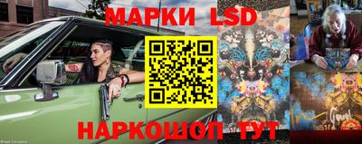 крисы Краснознаменск