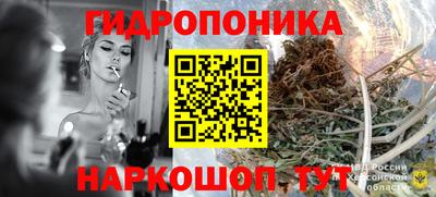 шишки Краснокаменск